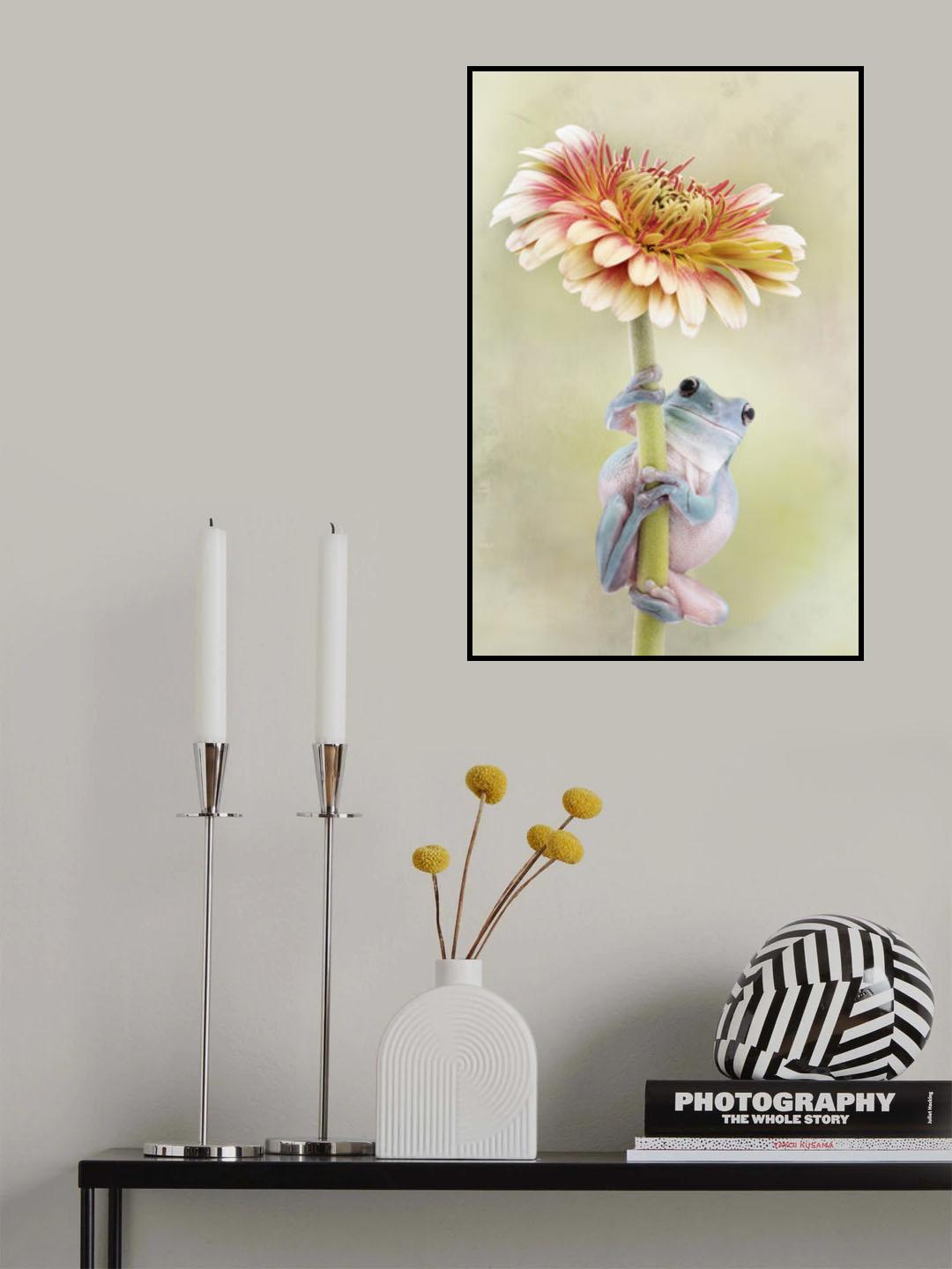White's Tree Frog Holding a Gerbera Flower Poster och Canvastavla