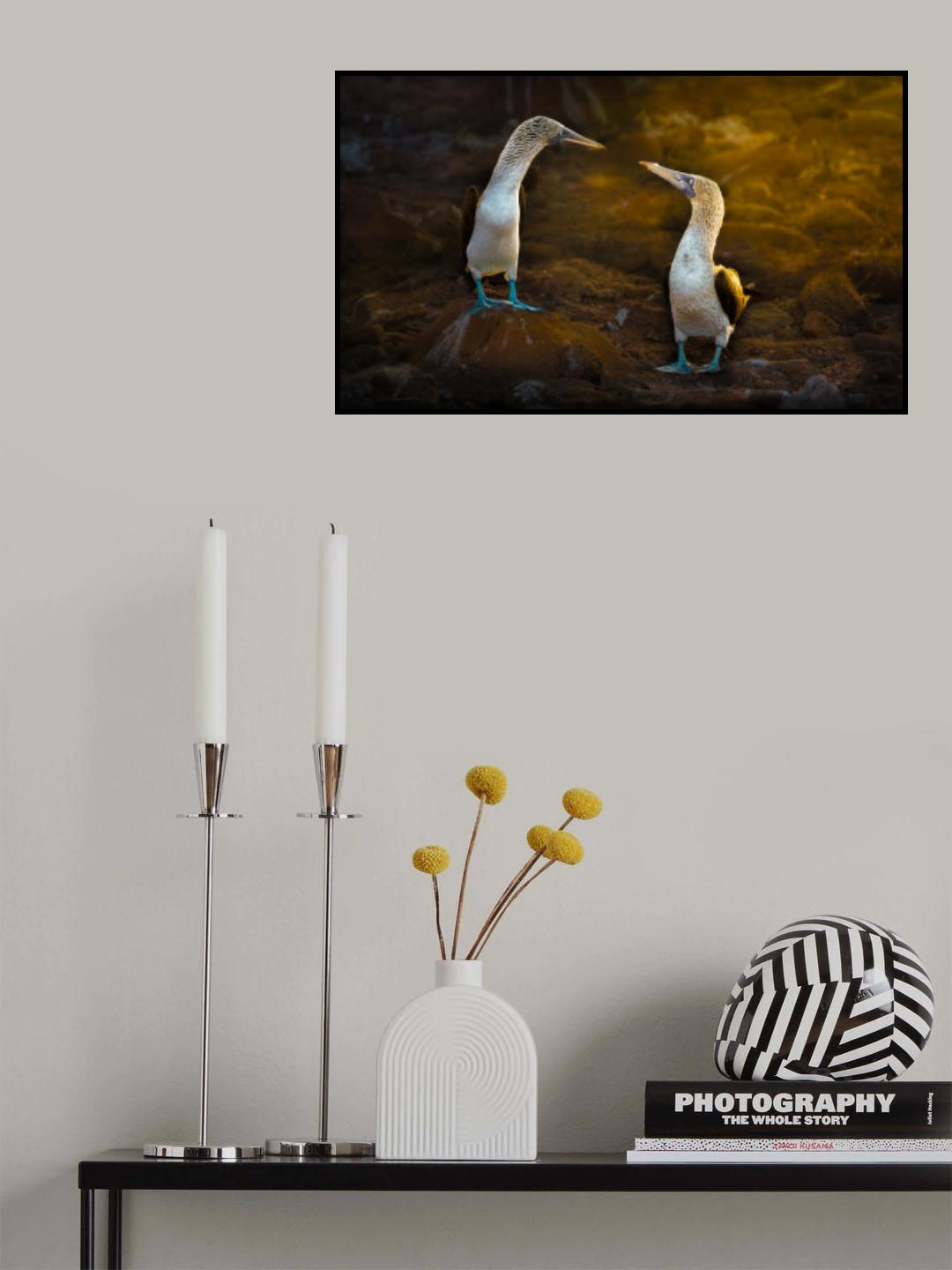 Come Across Poster och Canvastavla