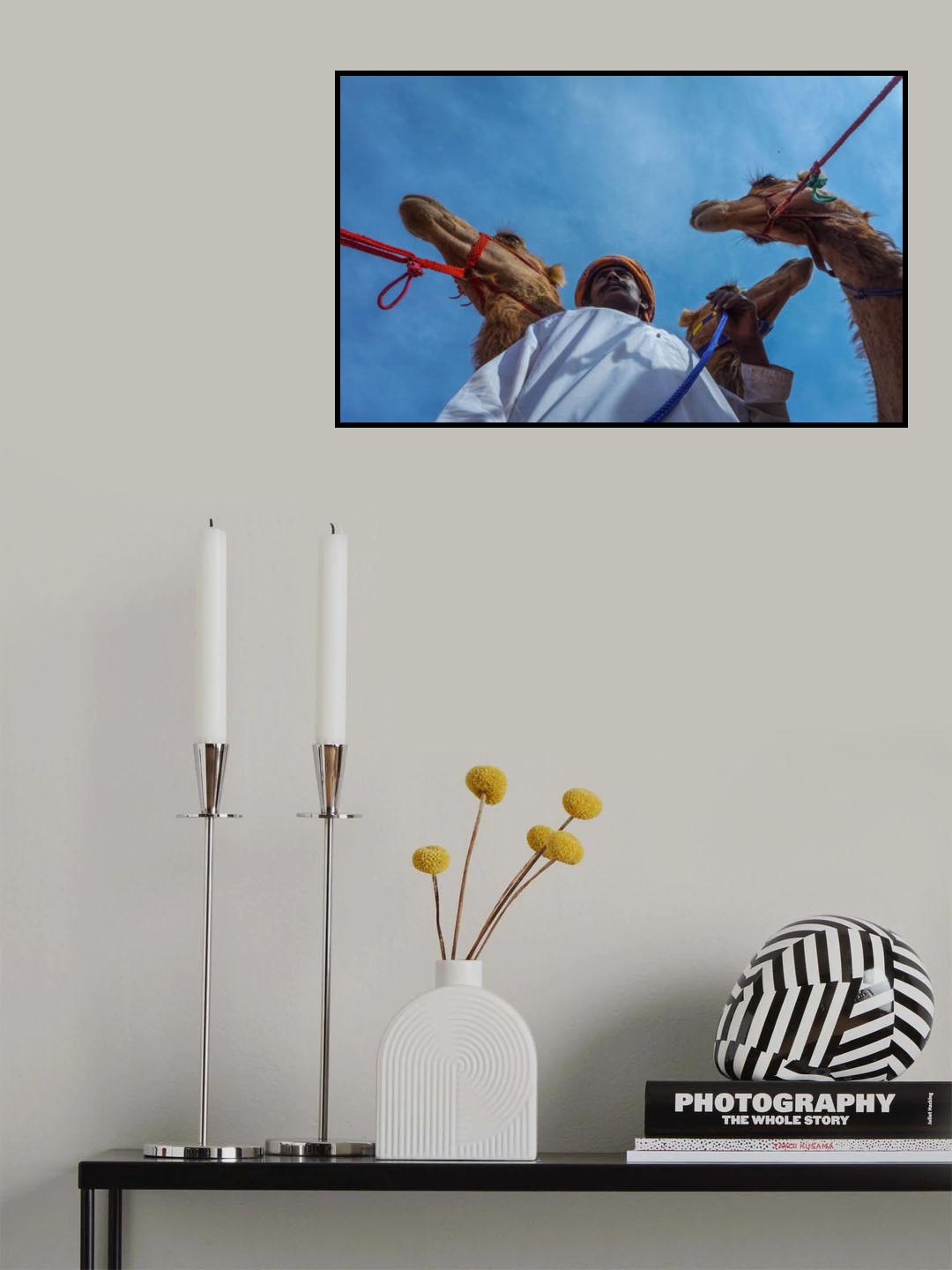 Harmony Poster och Canvastavla
