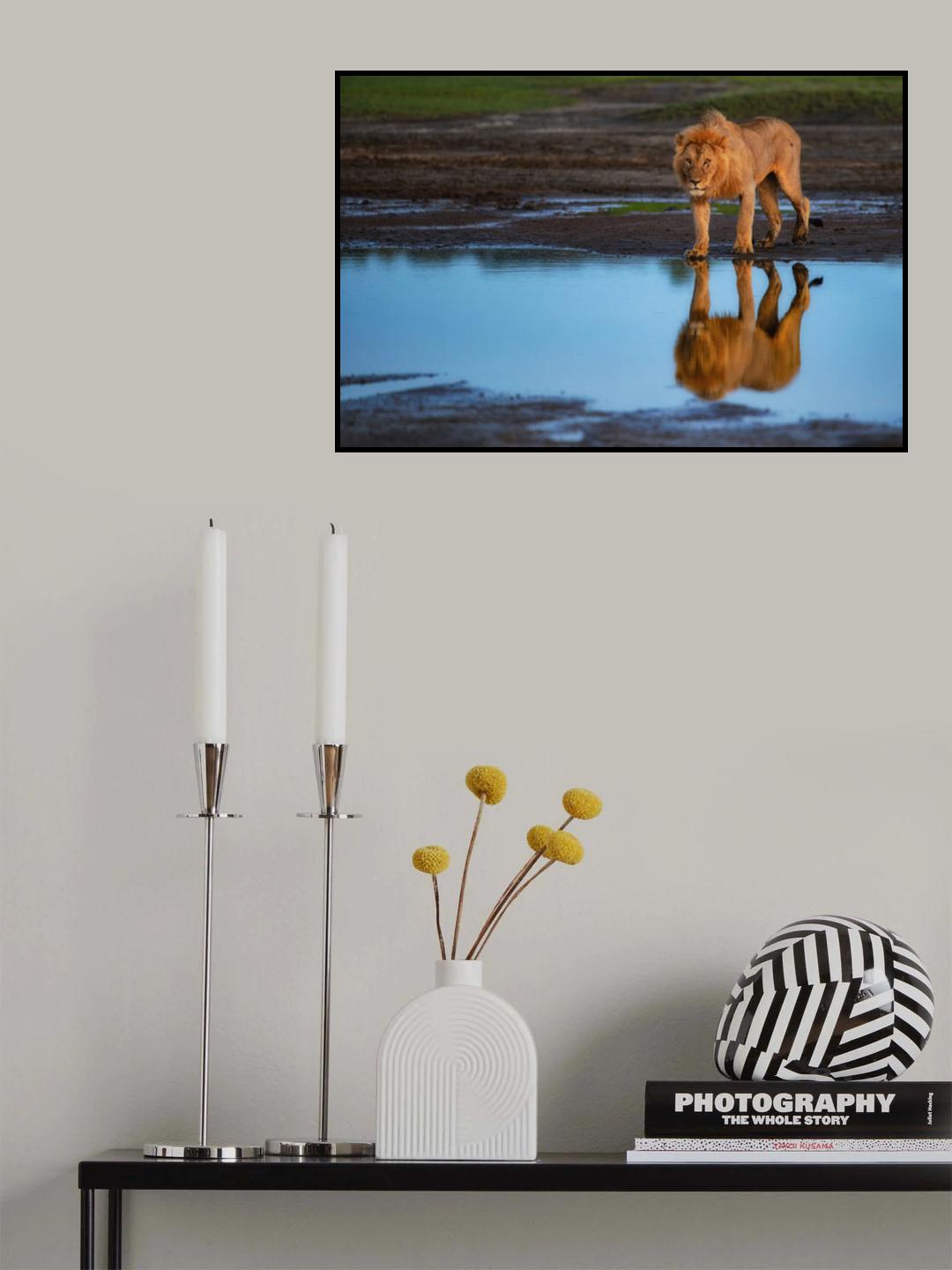 Reflective King Poster och Canvastavla