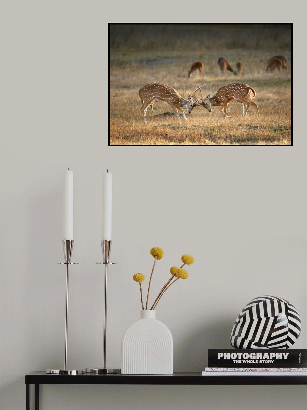 Exchange of glances Poster och Canvastavla