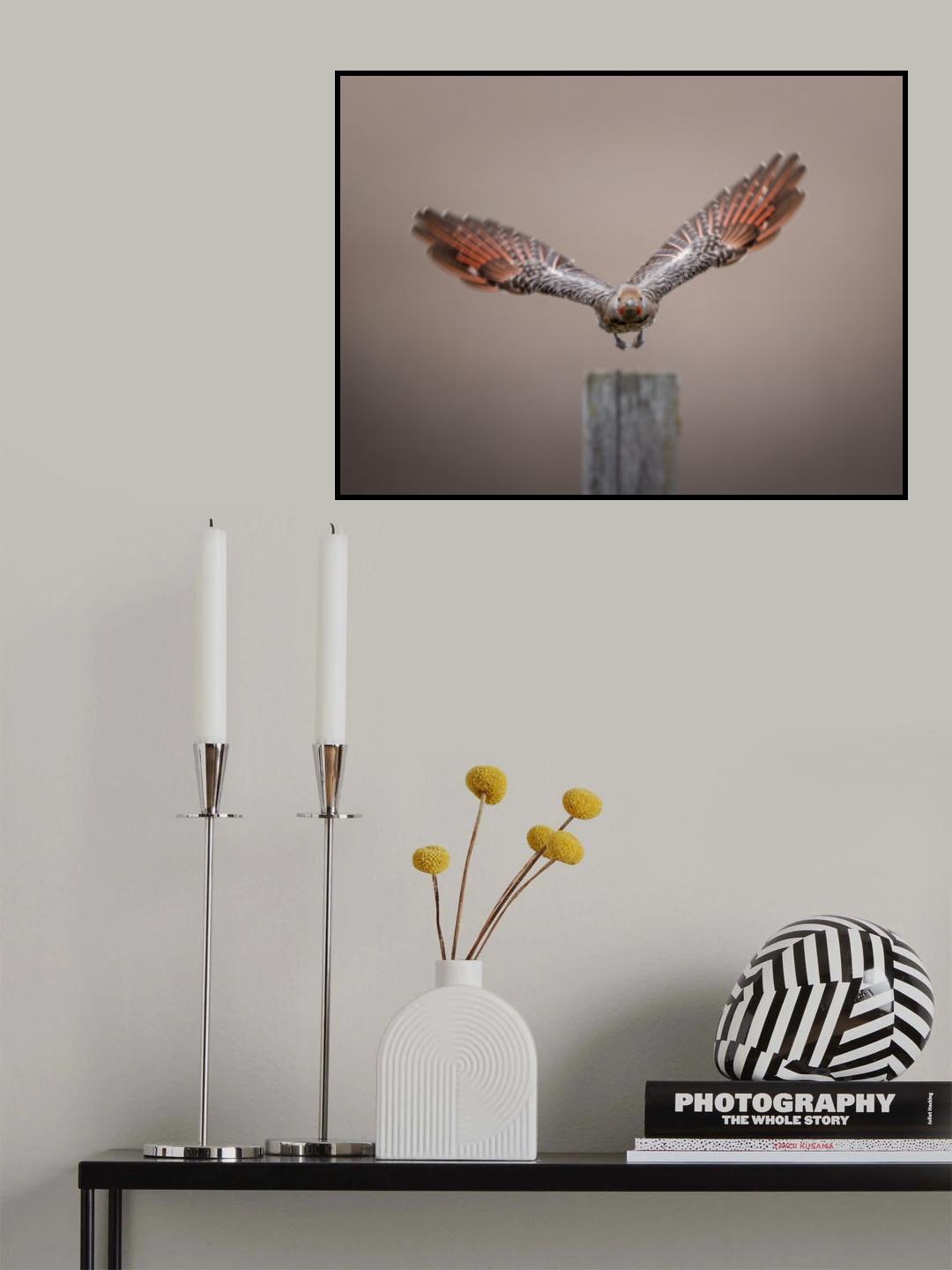 Taking off Poster och Canvastavla