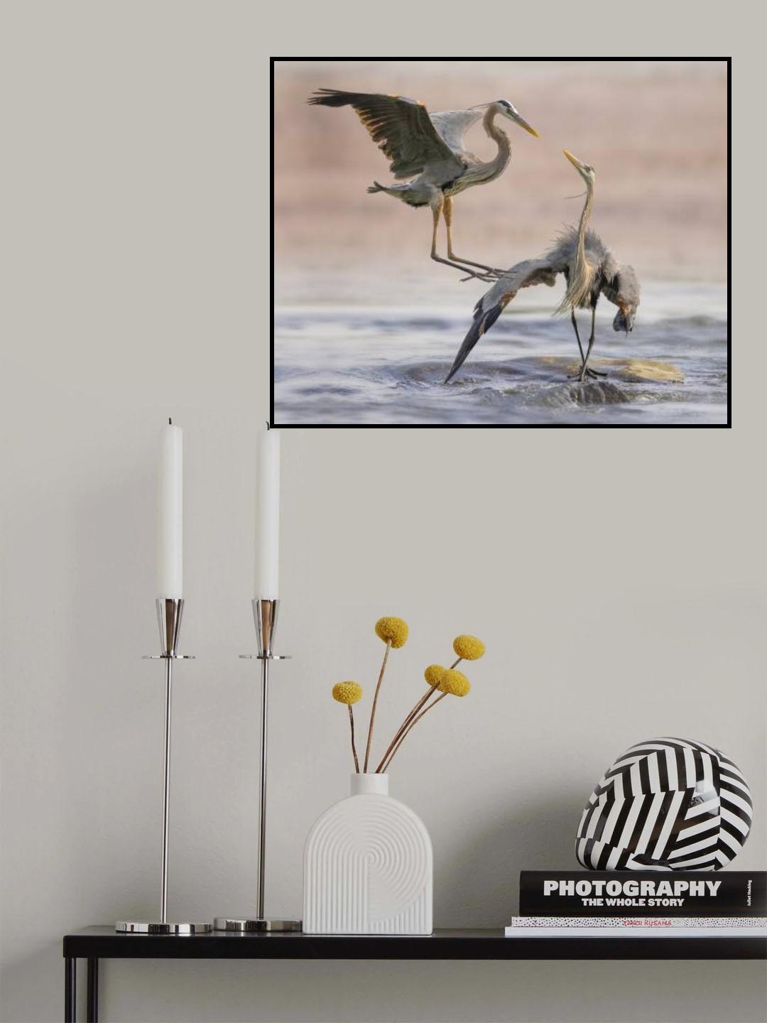 My spot Poster och Canvastavla