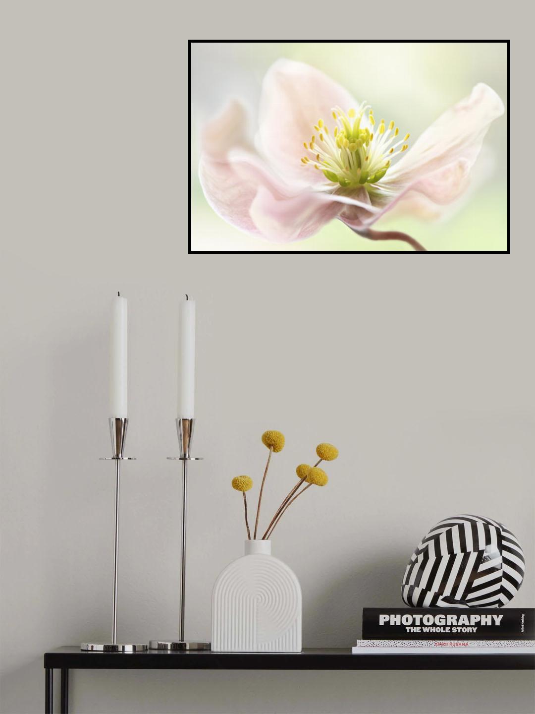 Lenten Spring Poster och Canvastavla
