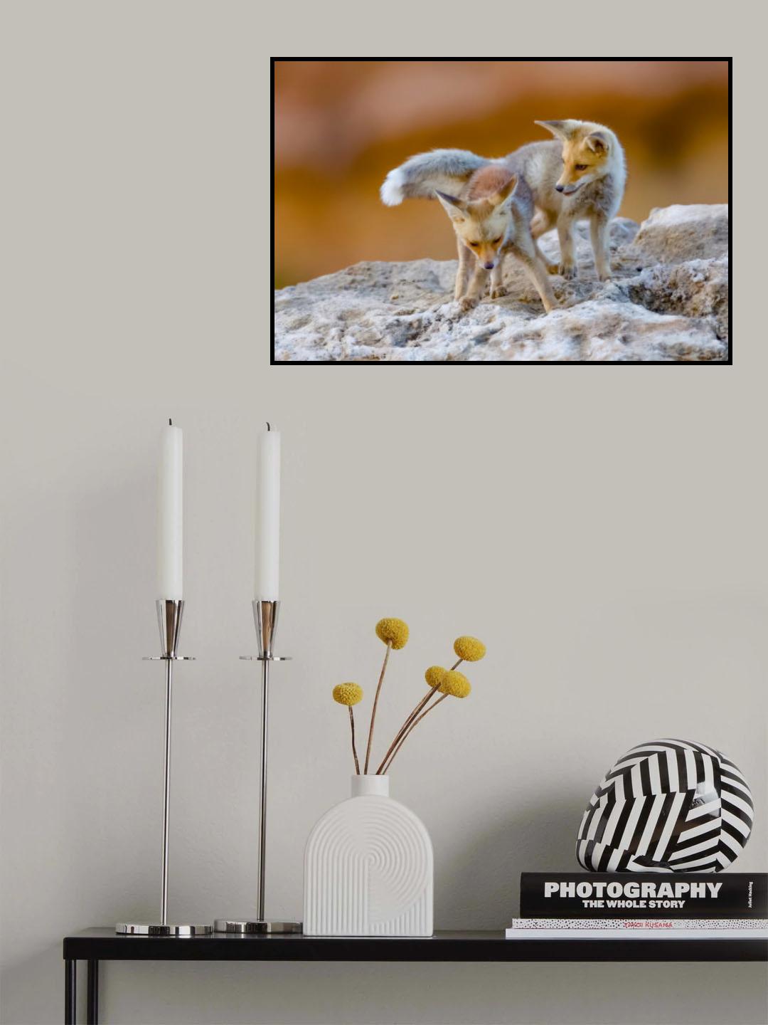 Fox family Poster och Canvastavla