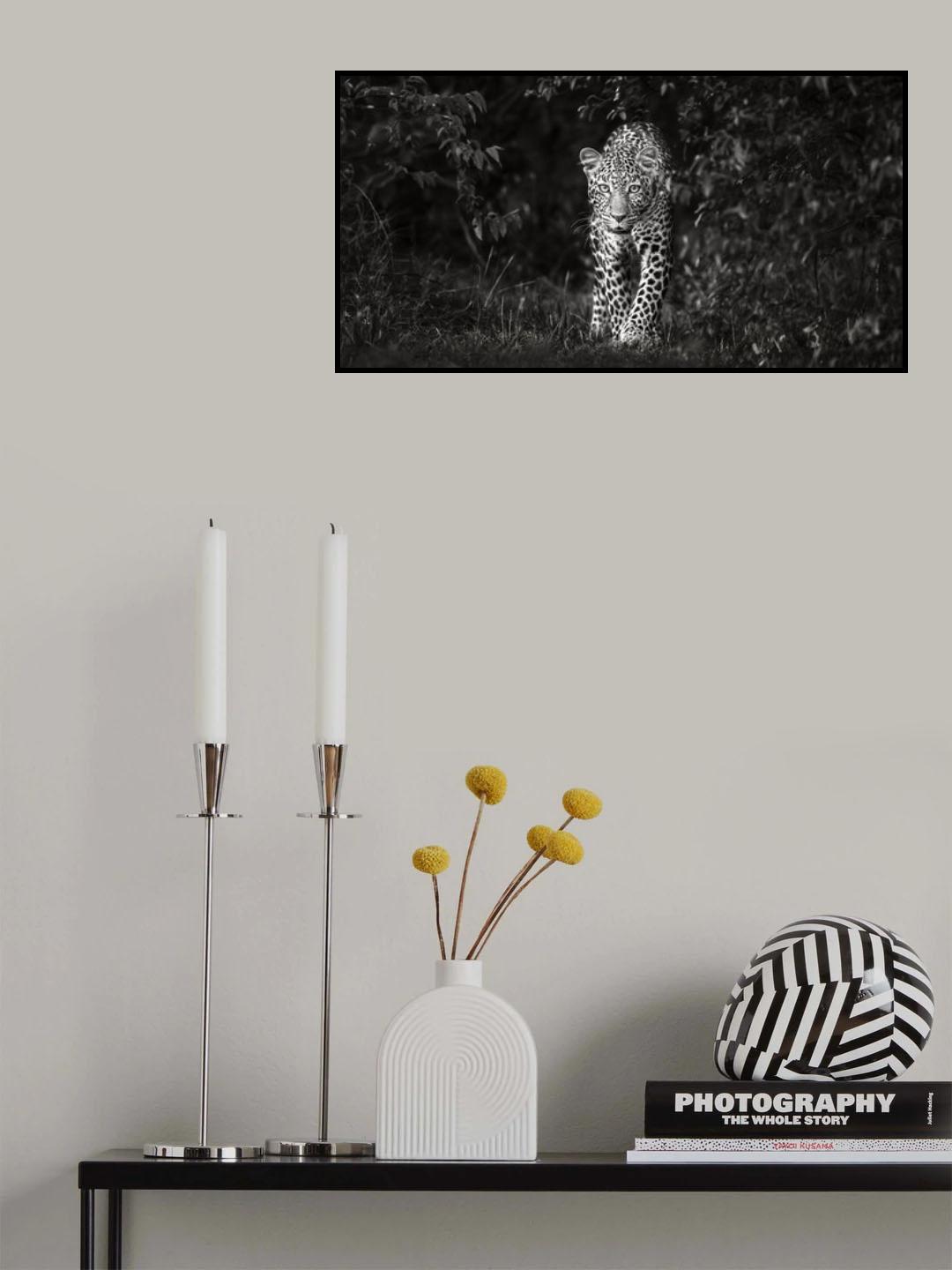 Leopard, eye to eye Poster och Canvastavla