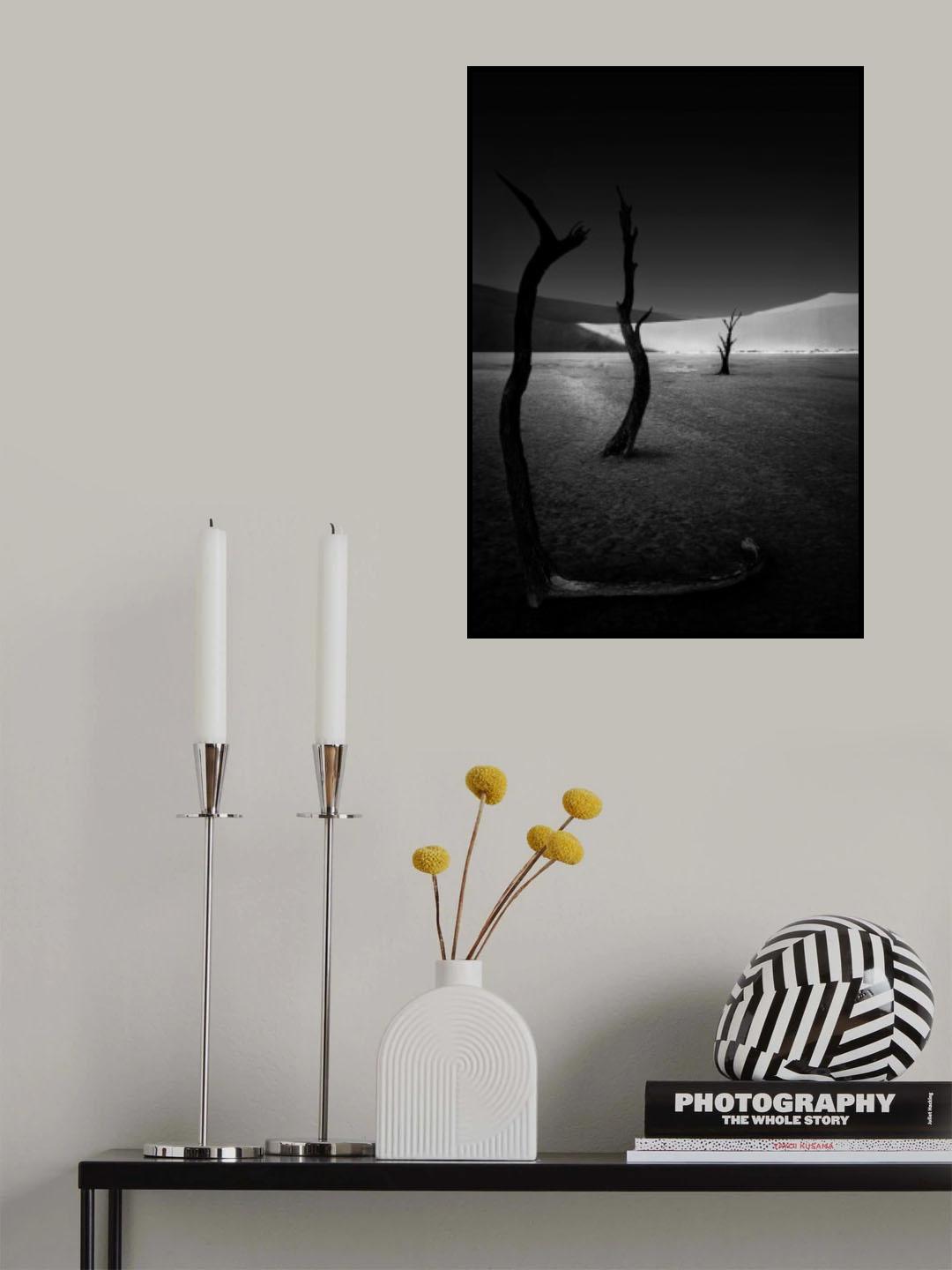 The scorched tree at Sossusvlei Poster och Canvastavla