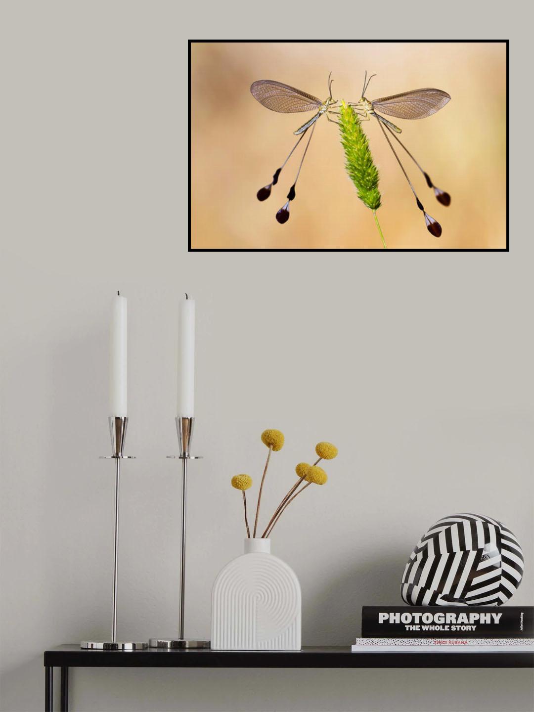 macro Poster och Canvastavla