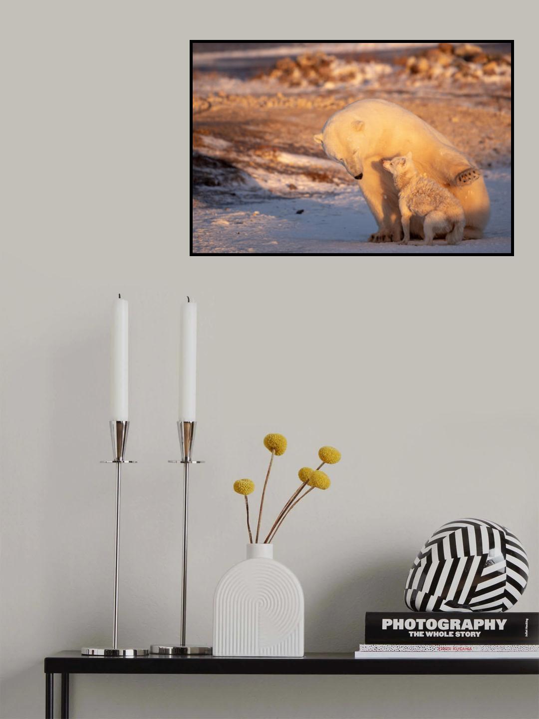 Dancing With The Bear Poster och Canvastavla