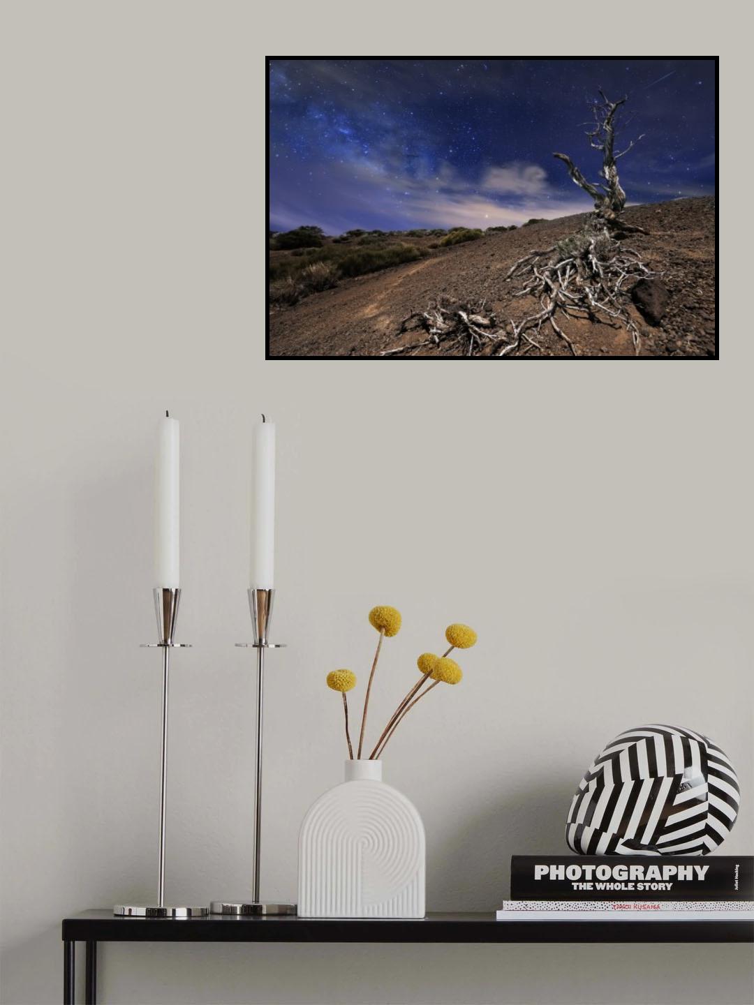 Tree in the night Poster och Canvastavla