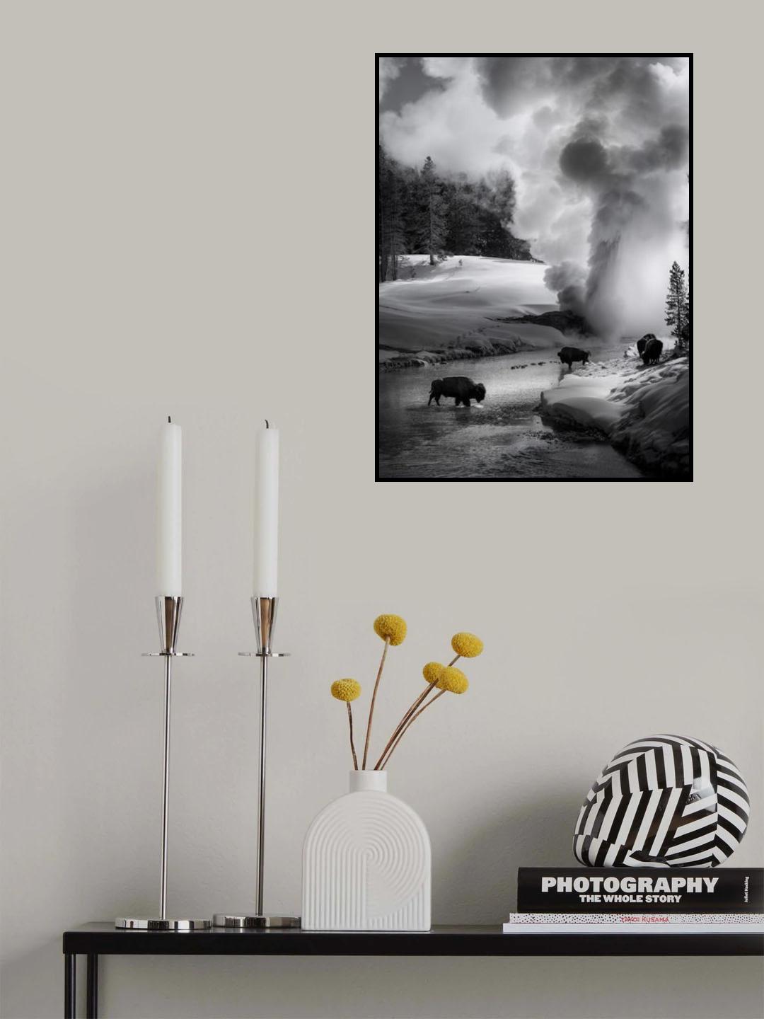 Geyser in action Poster och Canvastavla