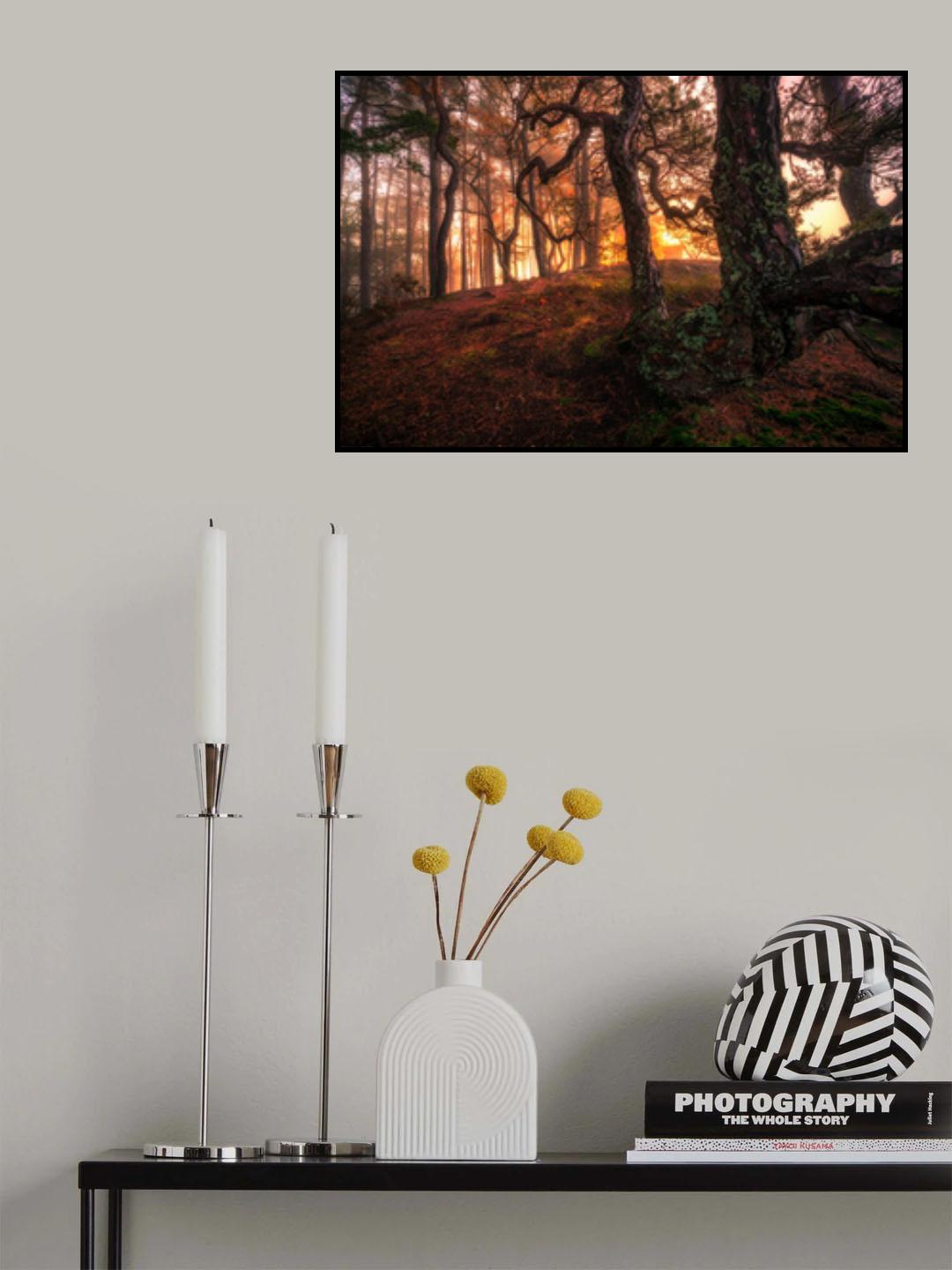 Hot Light Poster och Canvastavla