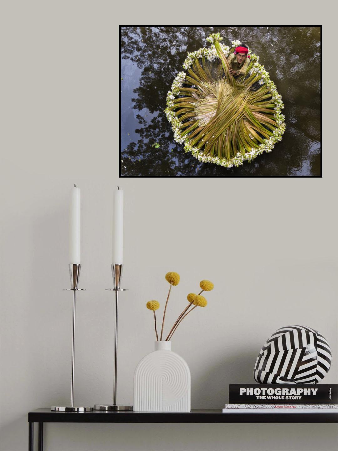 Waterlilies collecting Poster och Canvastavla