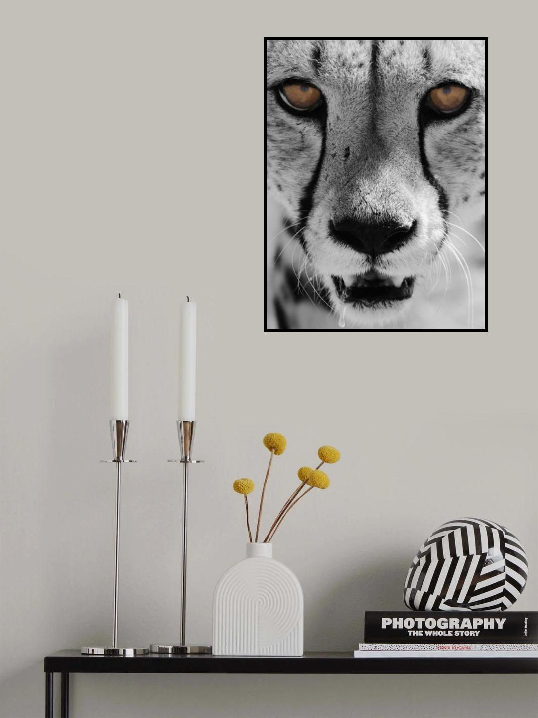 Poster och Canvastavla