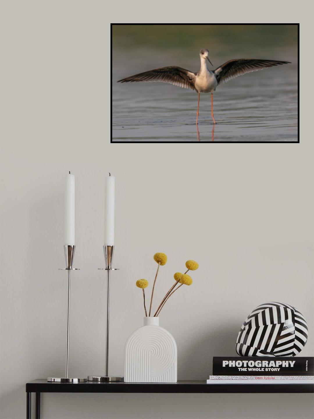 Dance Poster och Canvastavla
