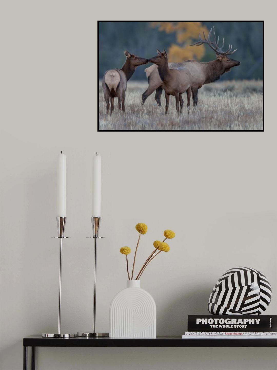 Watching You Poster och Canvastavla