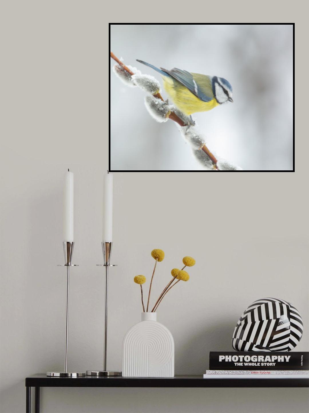 Winter and spring! Poster och Canvastavla