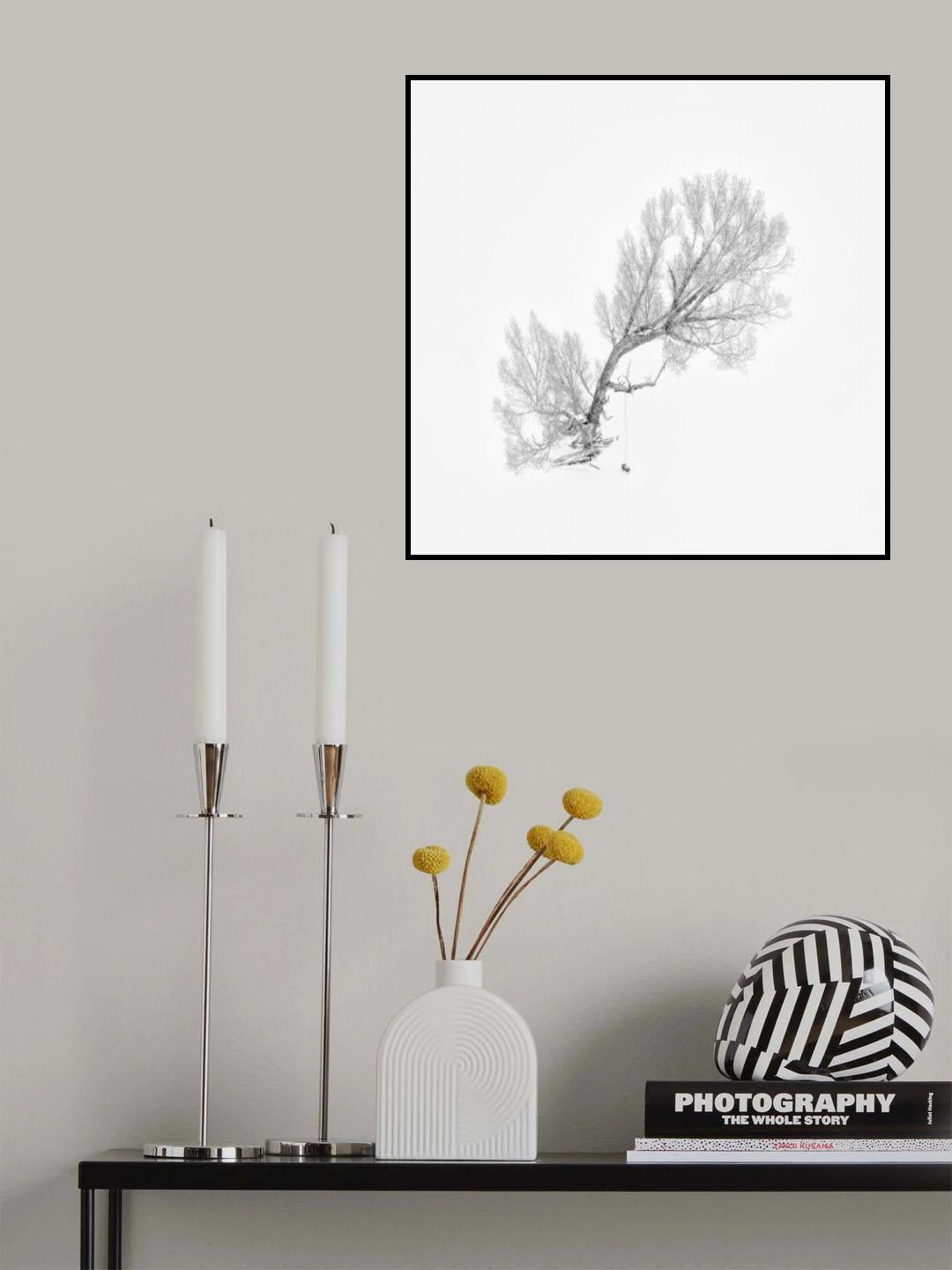 Lone Tree in Winter (Aerial View) Poster och Canvastavla