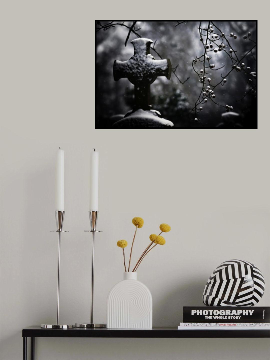 frozen memories Poster och Canvastavla