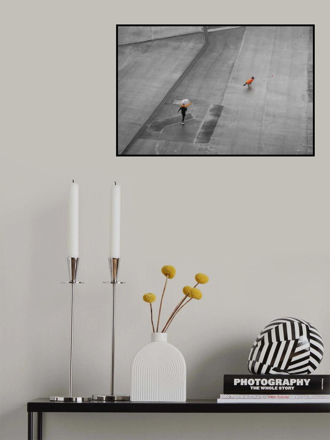 Orange on the diagonal Poster och Canvastavla