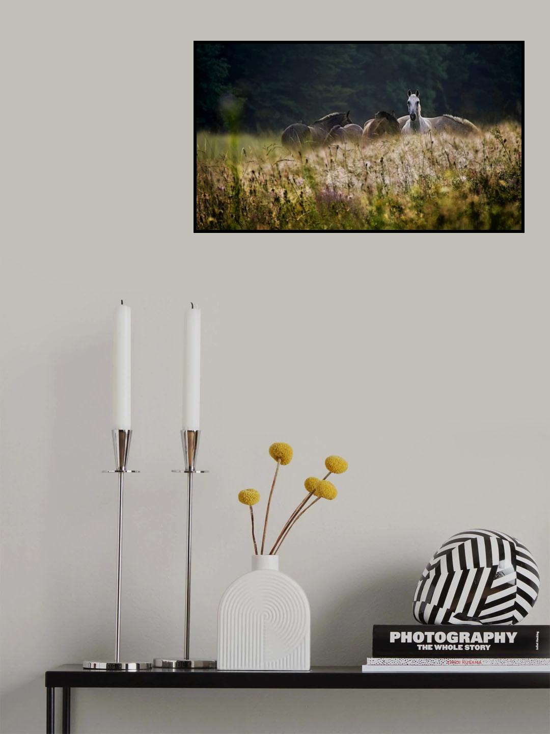our garden Poster och Canvastavla