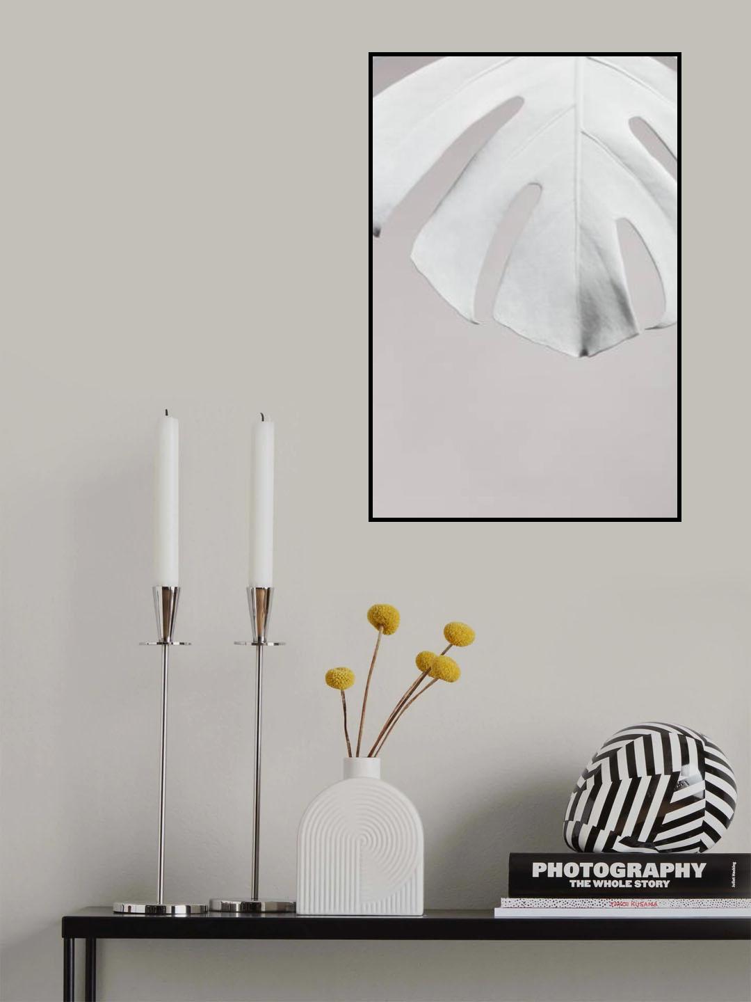 Monstera White 06 Poster och Canvastavla