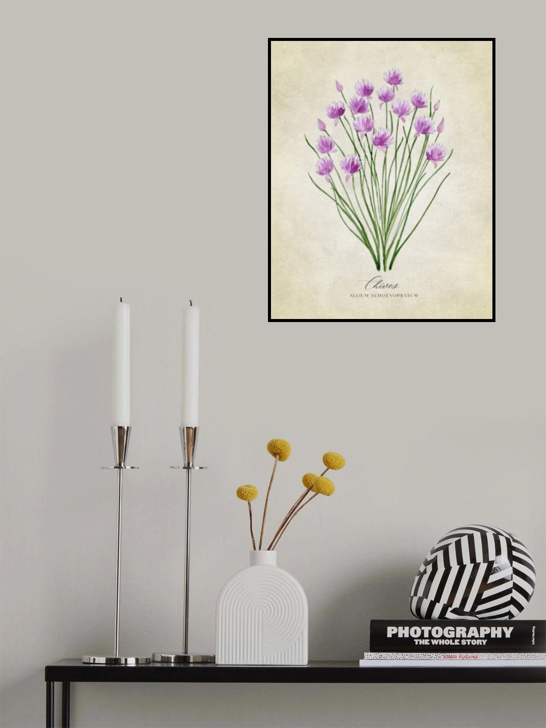 Chives vintage Poster