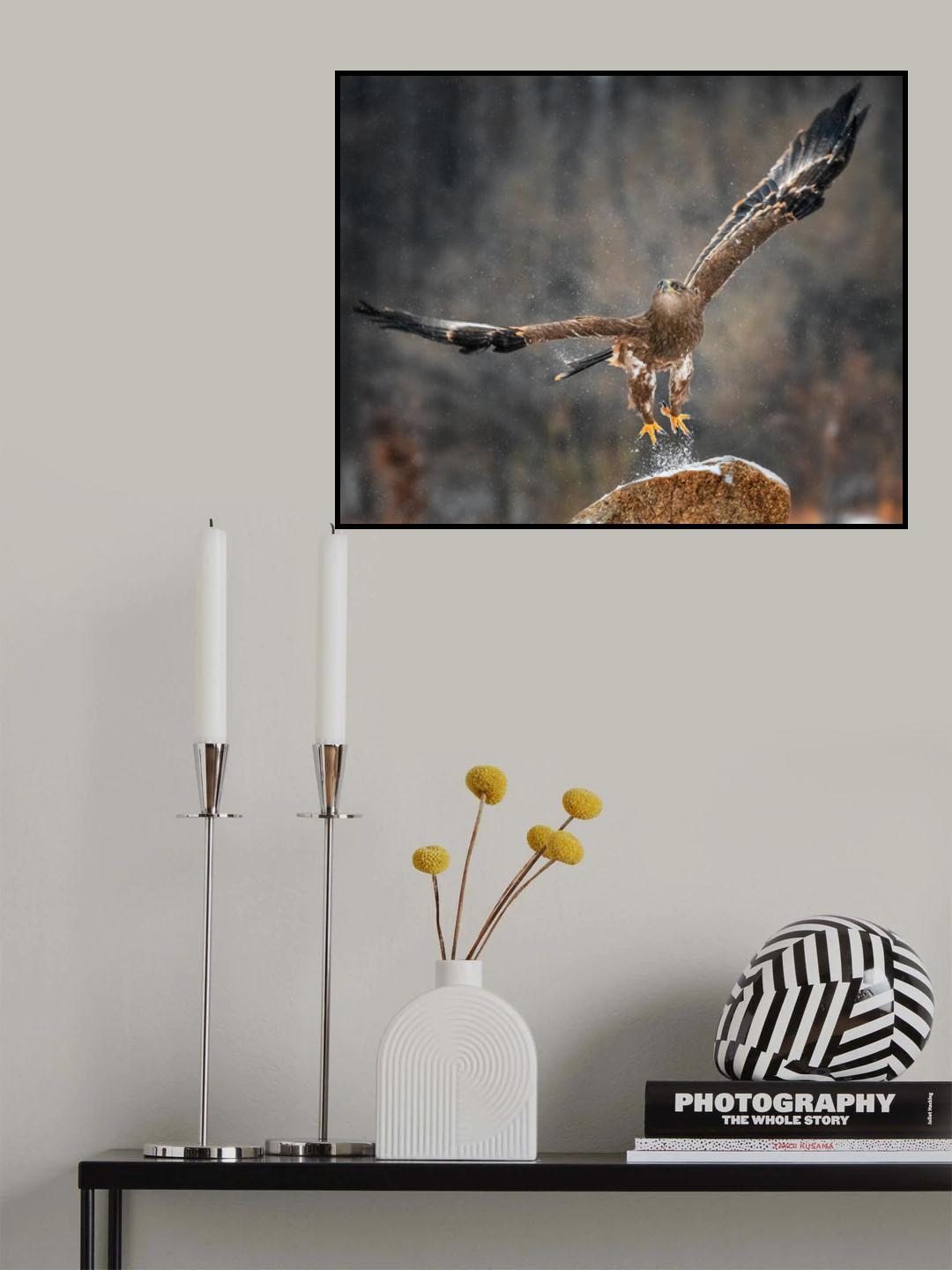 Taking off Poster och Canvastavla