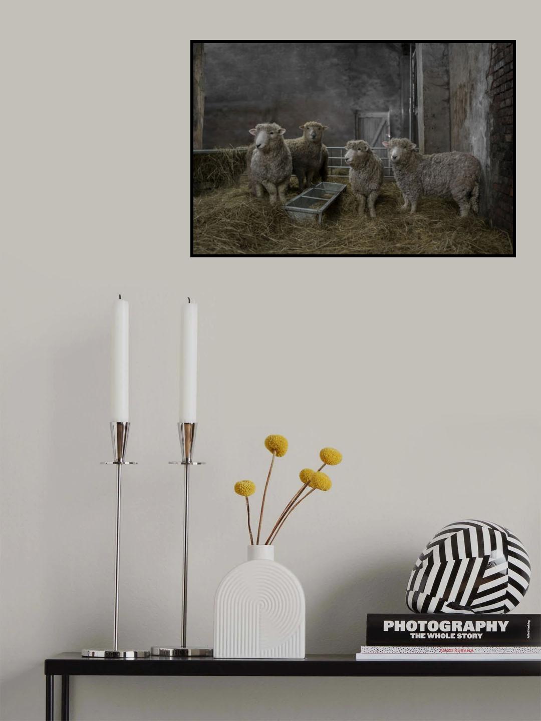 The residents Poster och Canvastavla