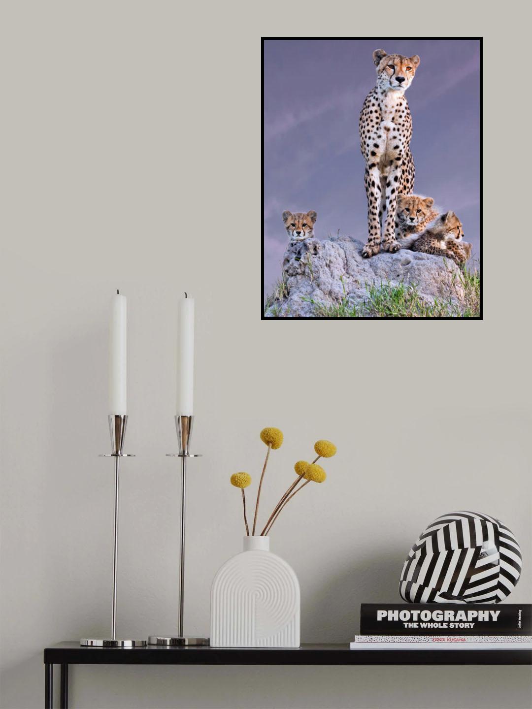 Cheetah with cubs at dawn Poster och Canvastavla