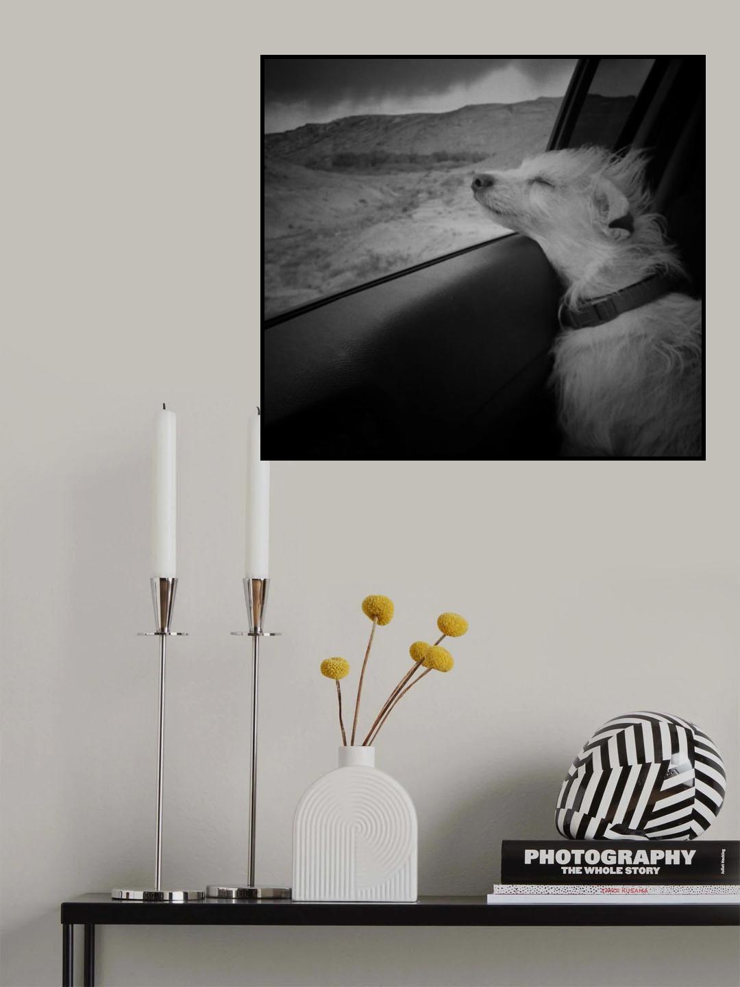 Venancia Poster och Canvastavla