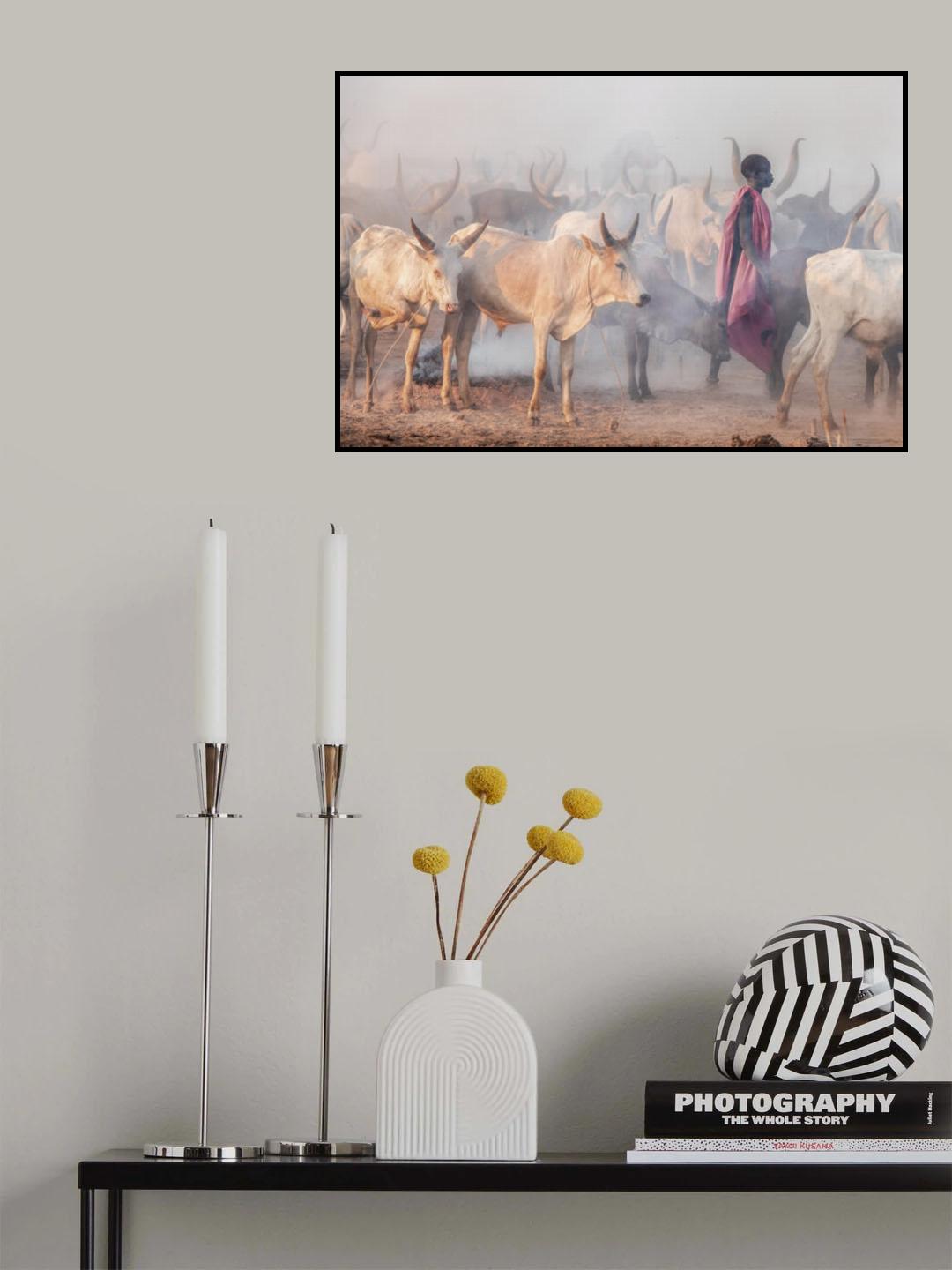 Mundari herder and the herd Poster och Canvastavla