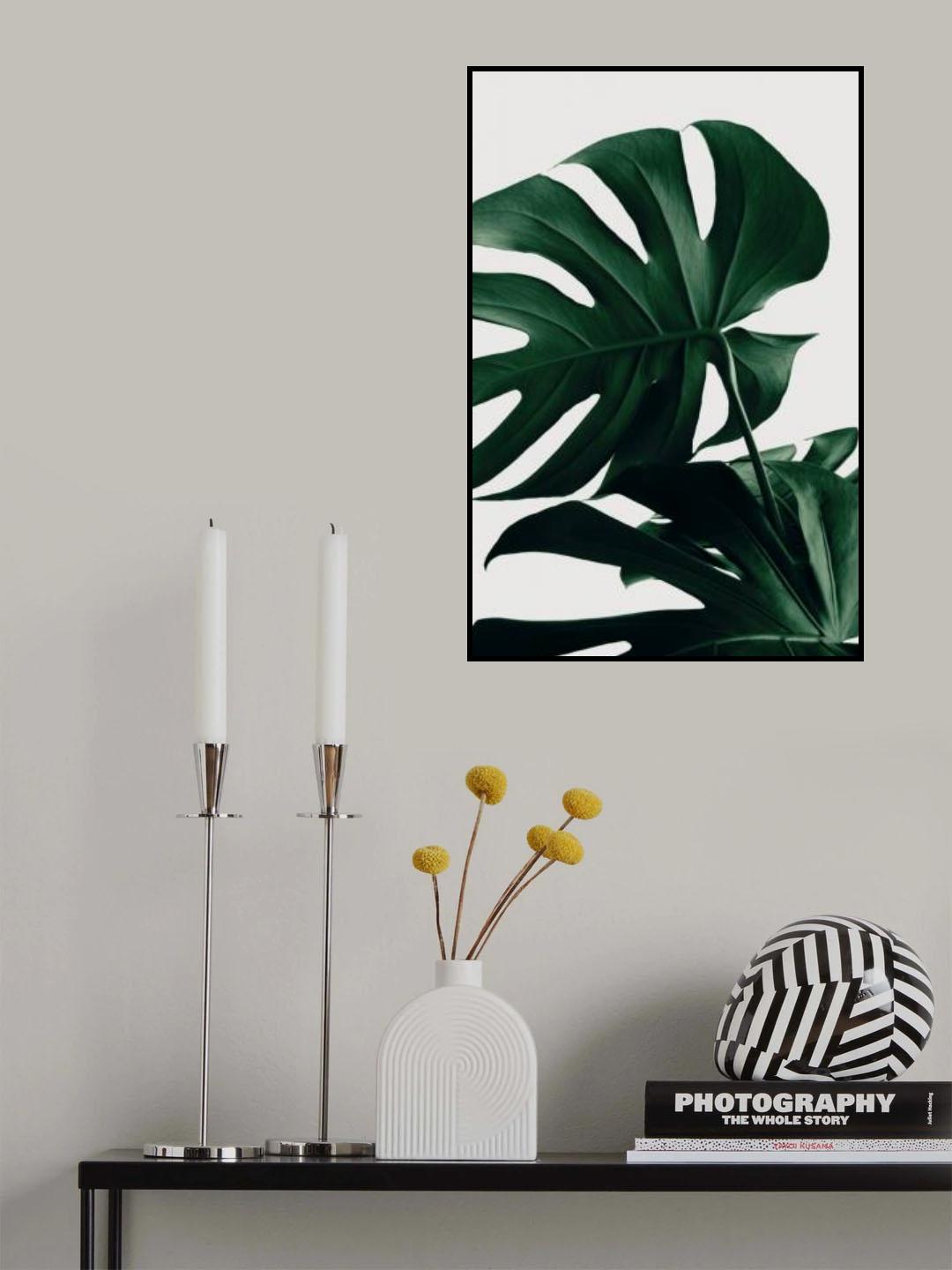 Monstera Natural 34 Poster och Canvastavla