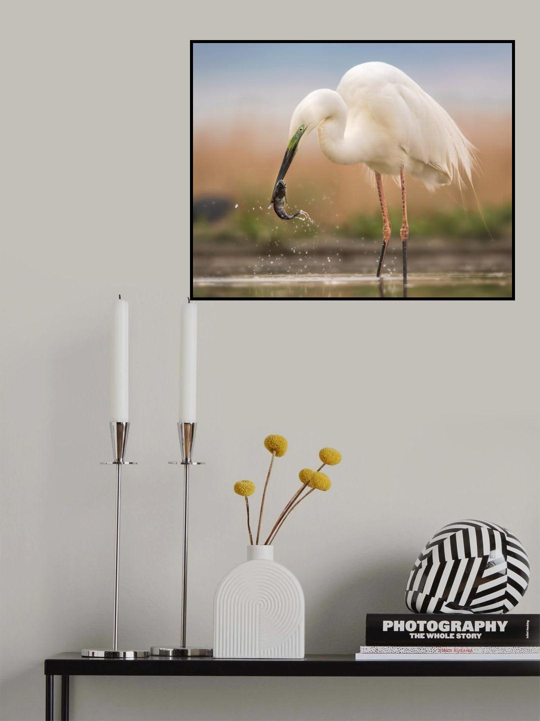 Still try to get away Poster och Canvastavla