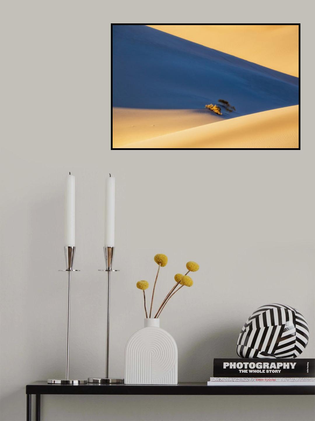 Anticipation Poster och Canvastavla