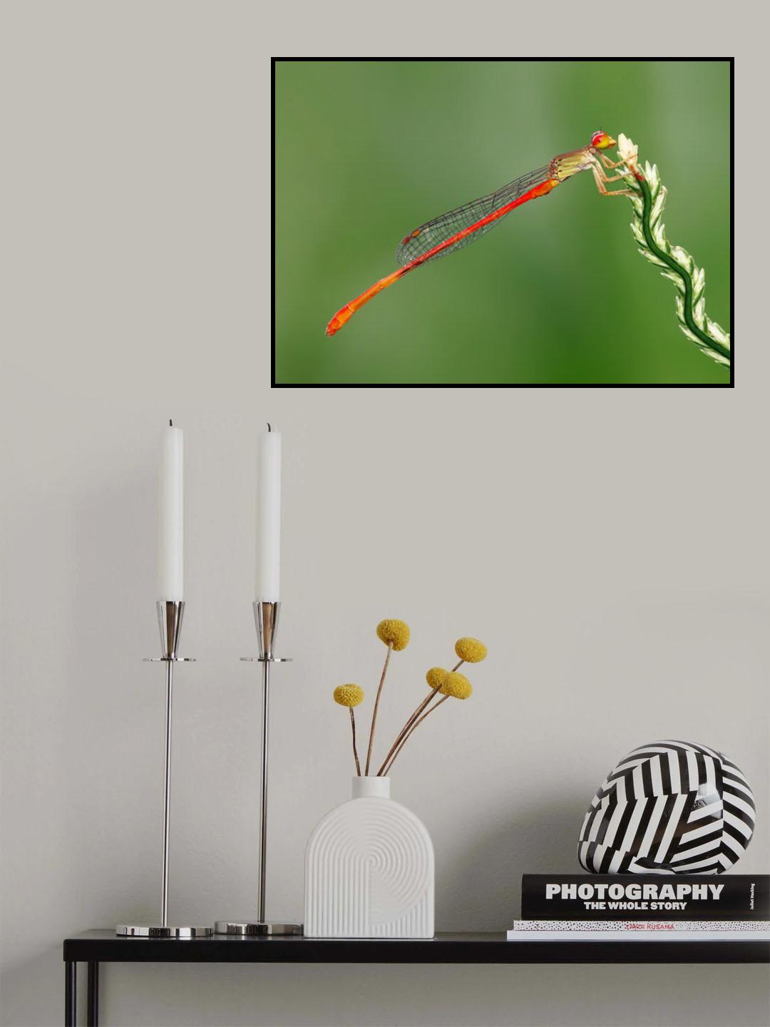 Twists and turns of life Poster och Canvastavla