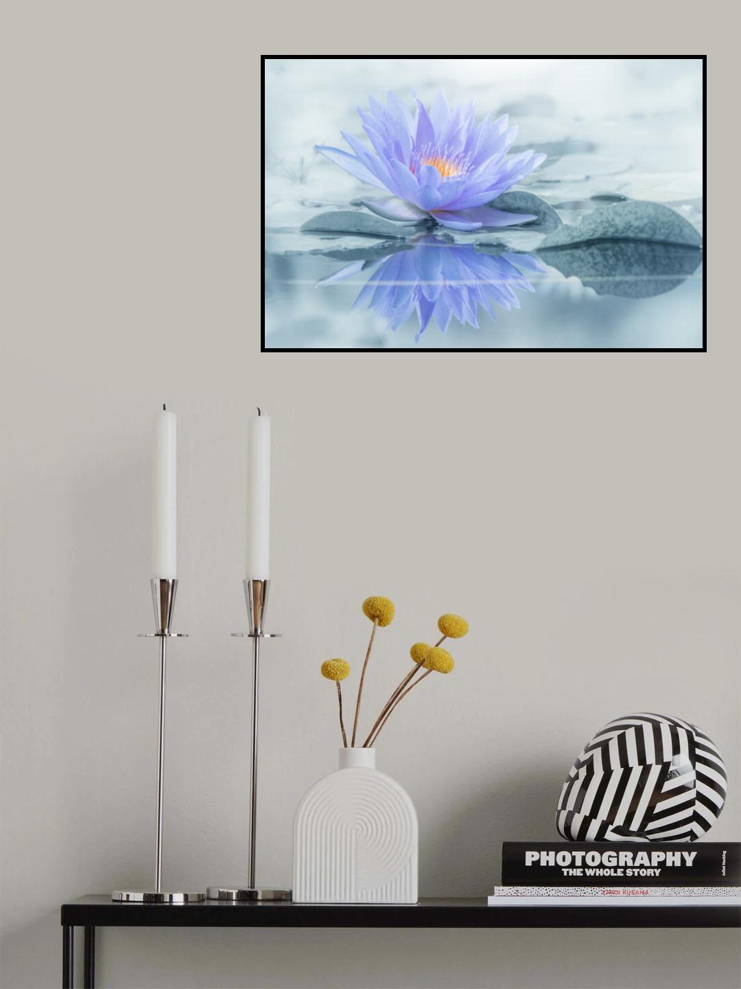 Reflection Poster och Canvastavla