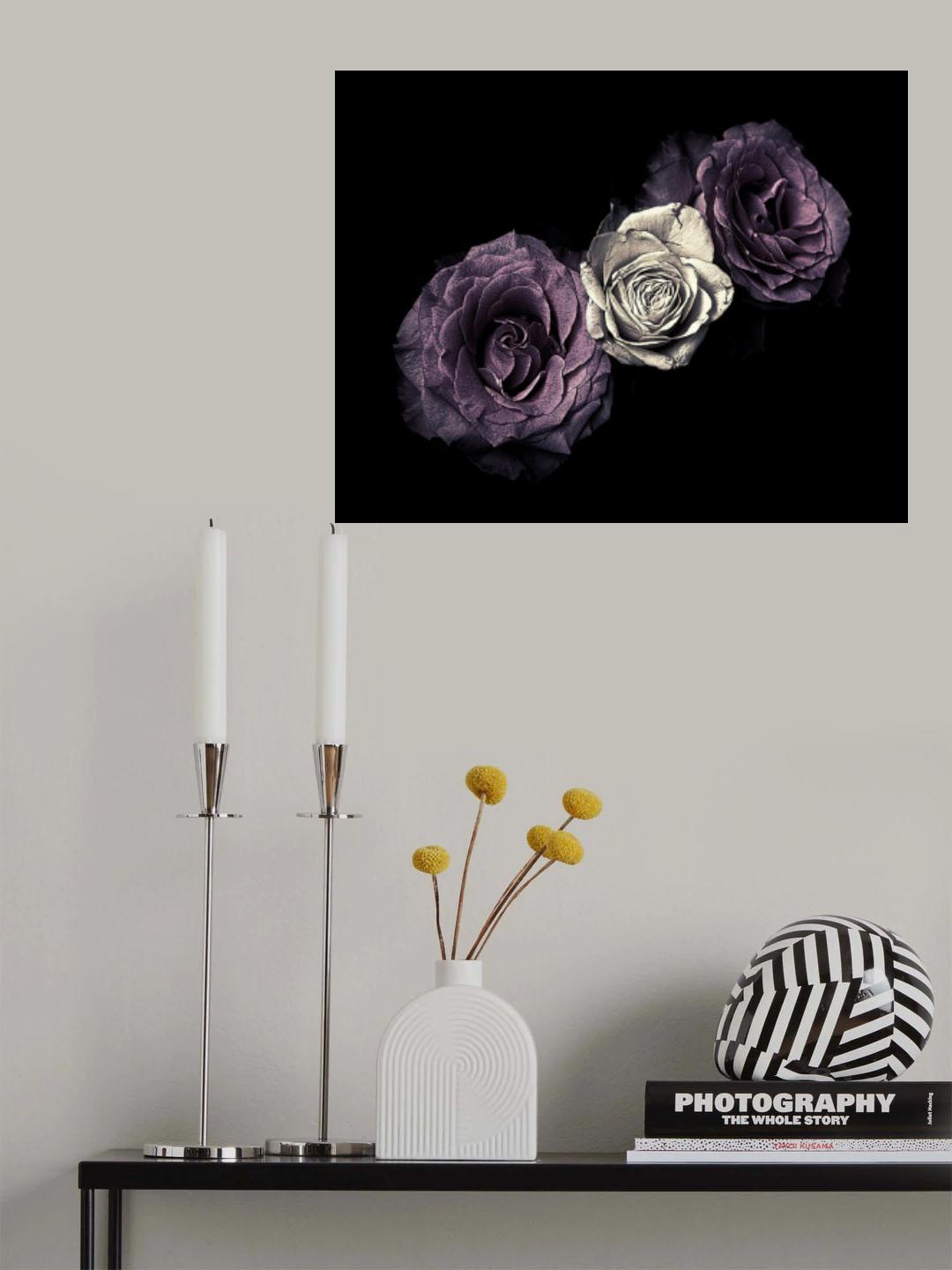 Roses Poster och Canvastavla