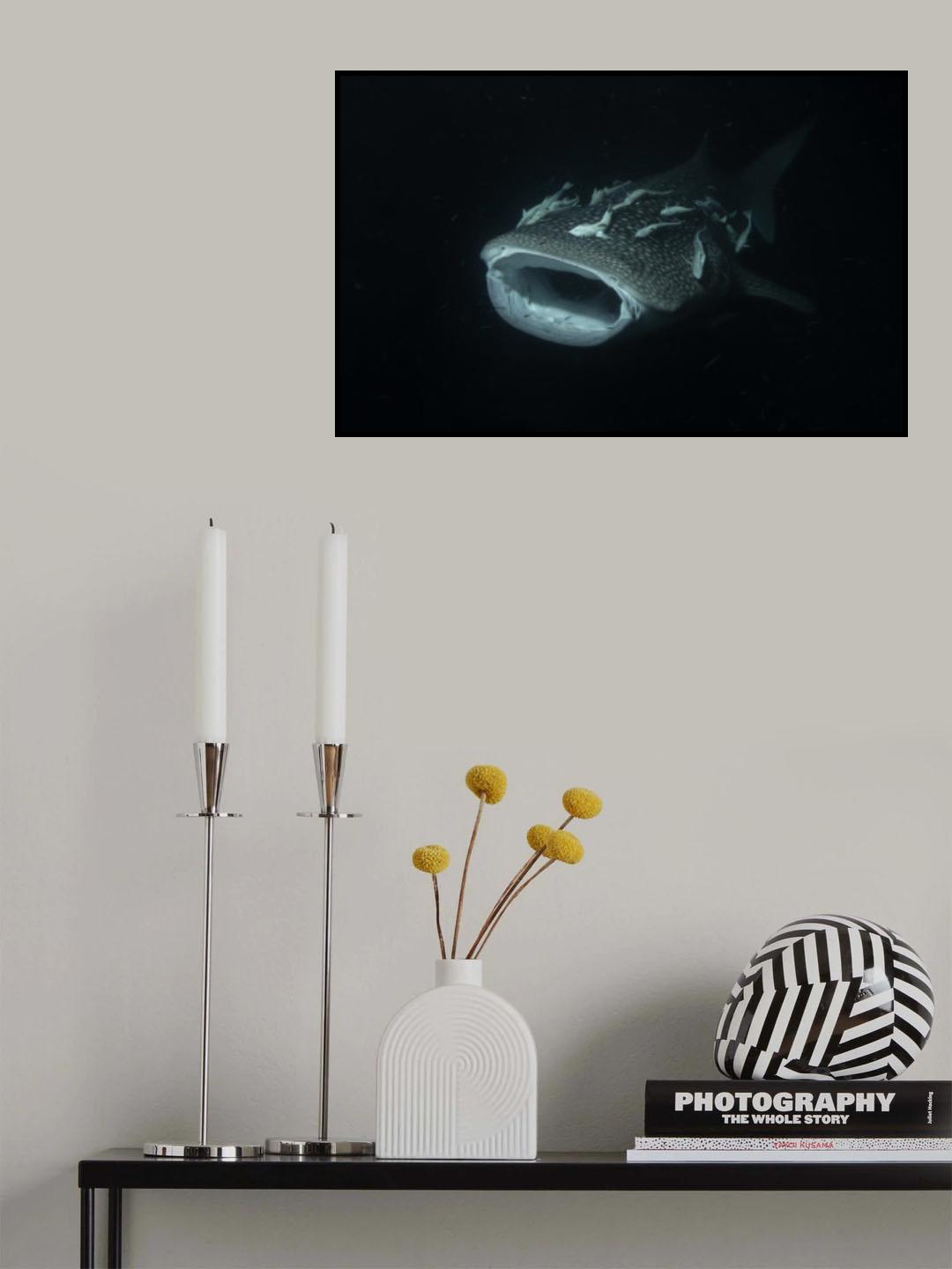 Night hunting Poster och Canvastavla