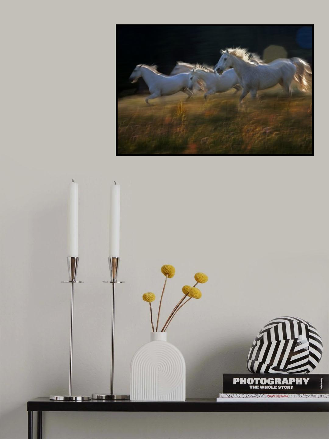 pass Poster och Canvastavla