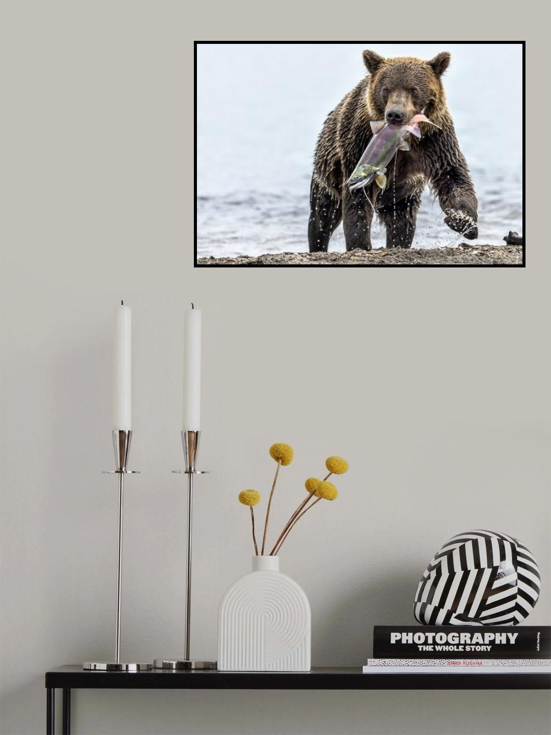 Different looks Poster och Canvastavla