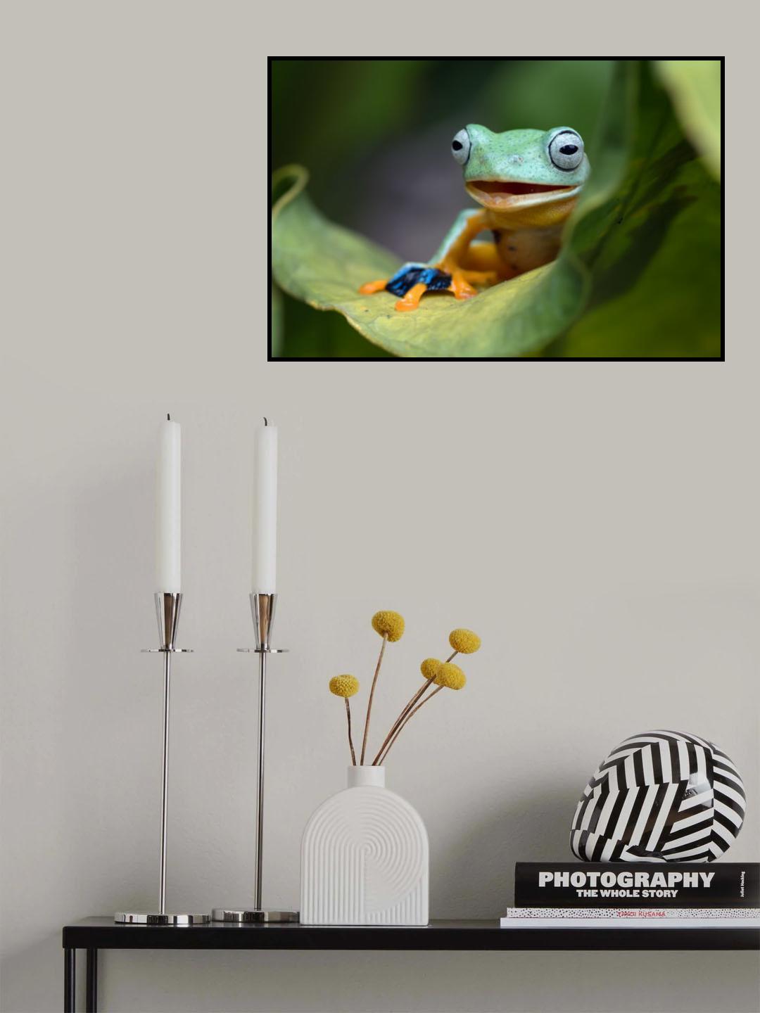 Green flying frog Poster och Canvastavla