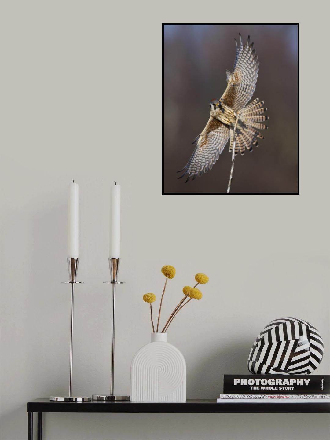 Full of Fire Poster och Canvastavla
