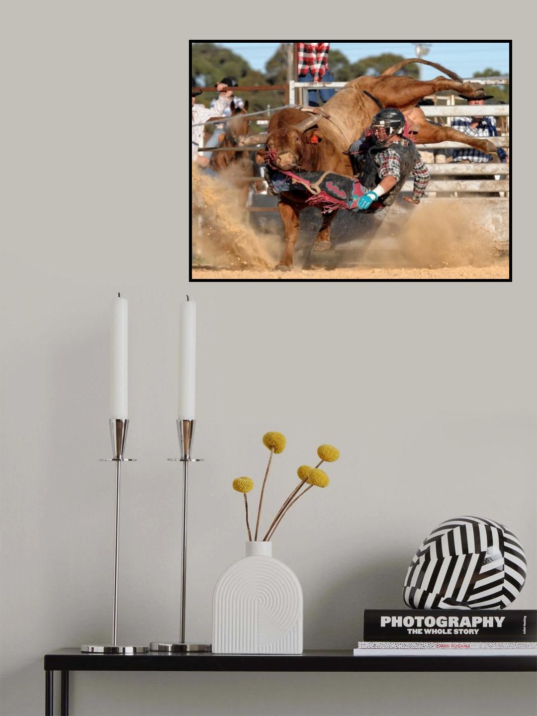 Bull Ride Poster och Canvastavla