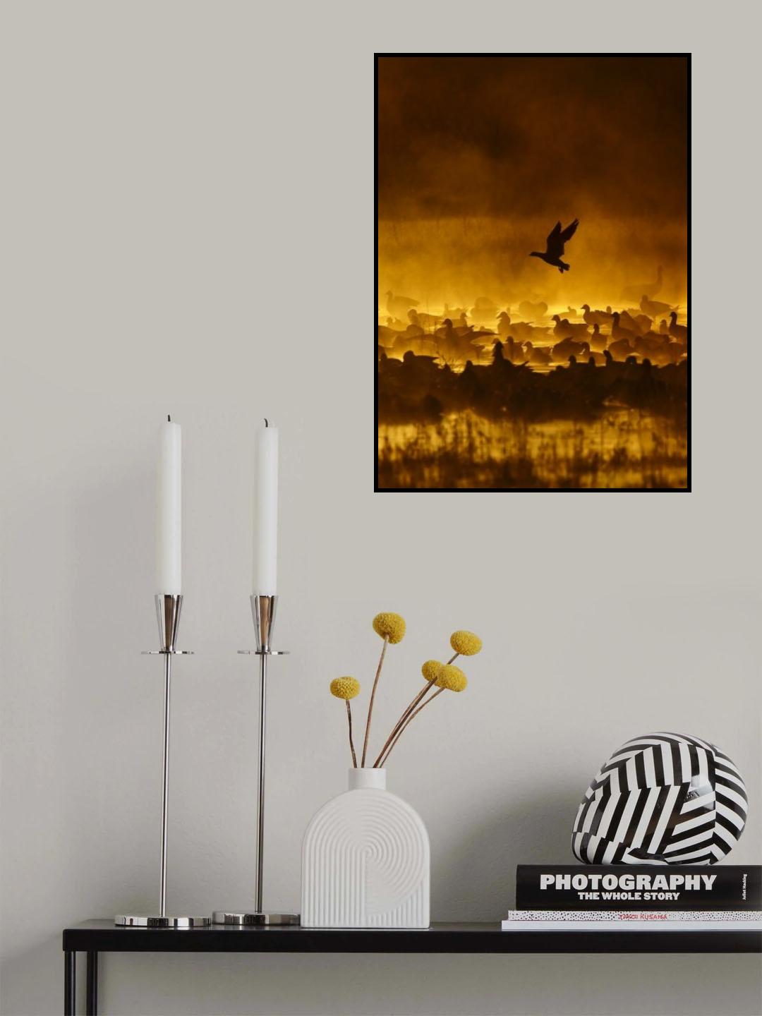 Fire in the mist Poster och Canvastavla