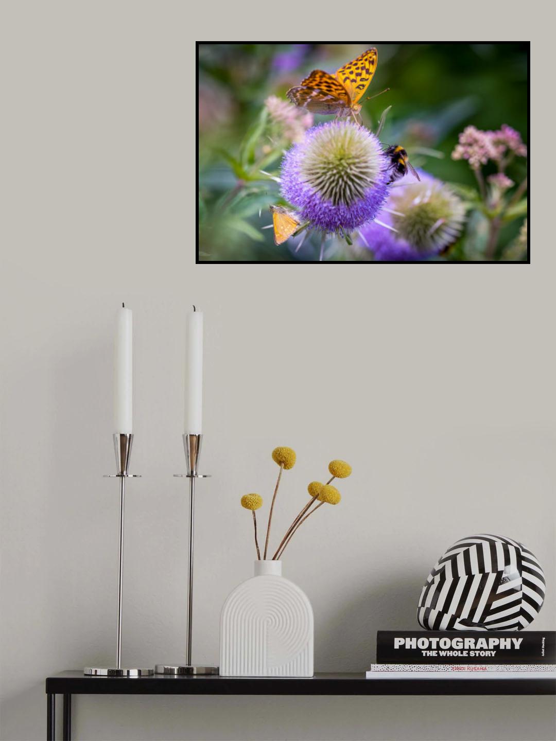 Peaceful Coexistence Poster och Canvastavla