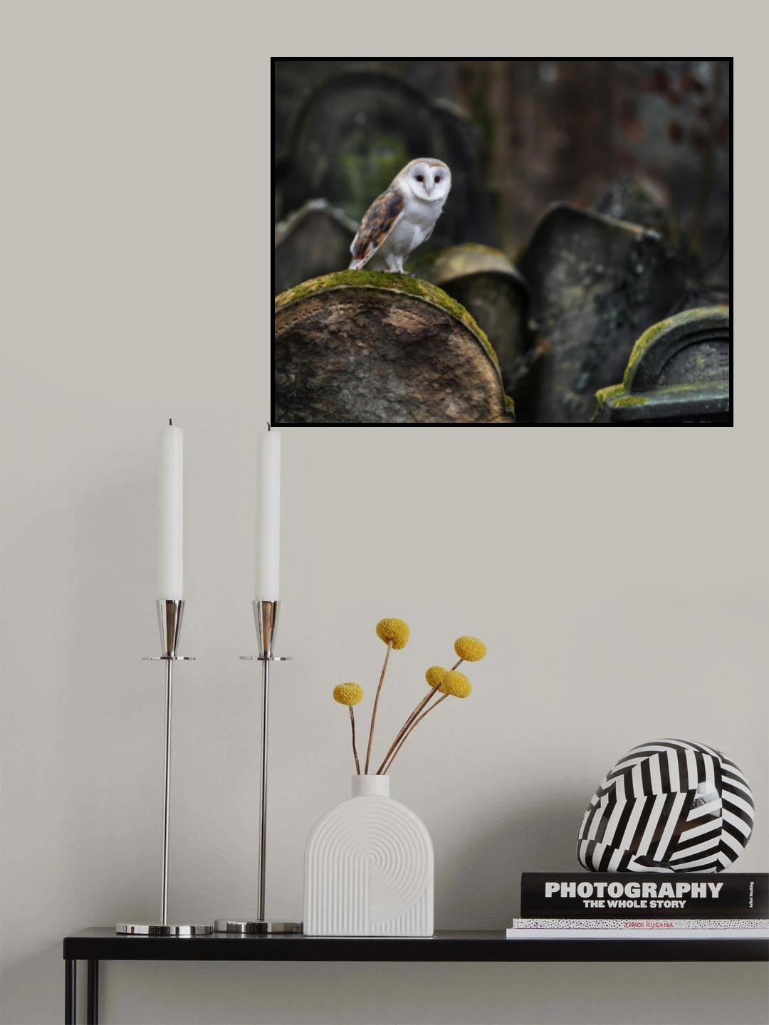 Owl at cemetery Poster och Canvastavla