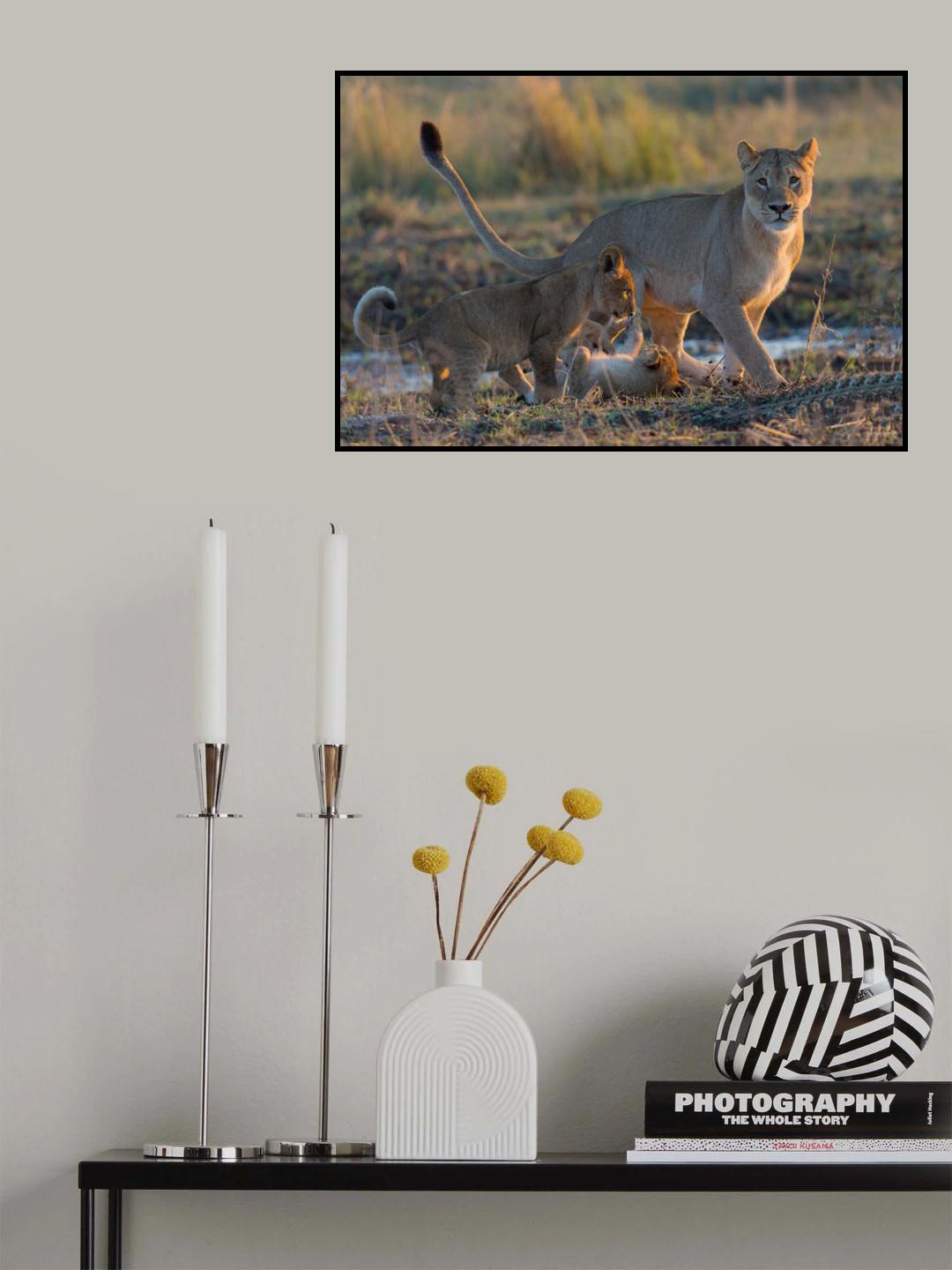 play with me Poster och Canvastavla