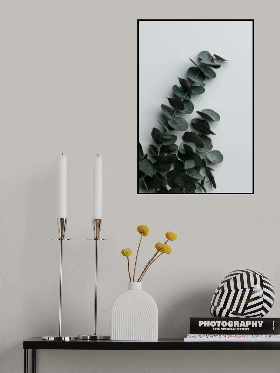 Eucalyptus Wall 01 Poster och Canvastavla