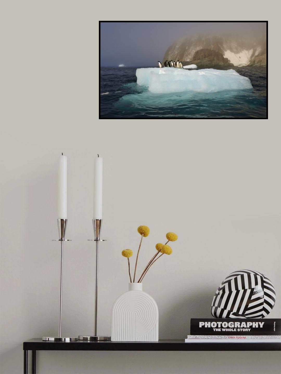 The captains Poster och Canvastavla